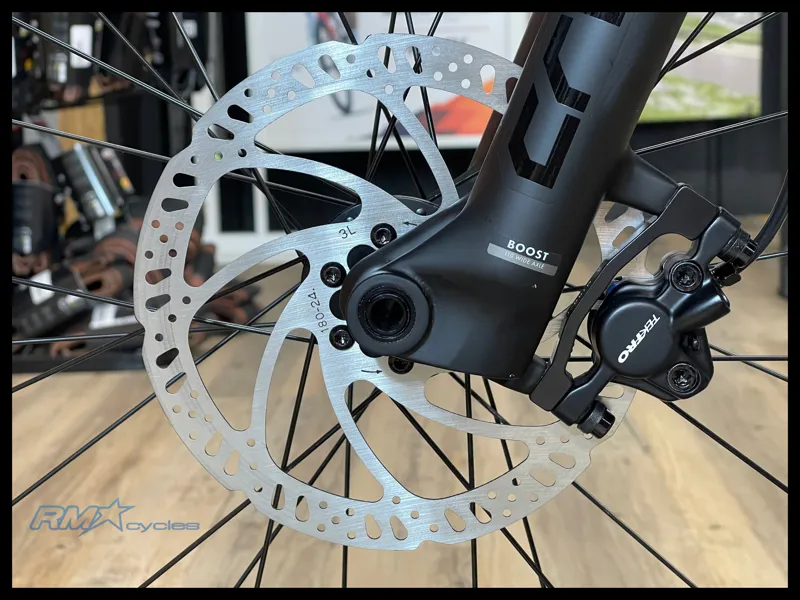 Giant STP 26 Eucalyptus 2024-7