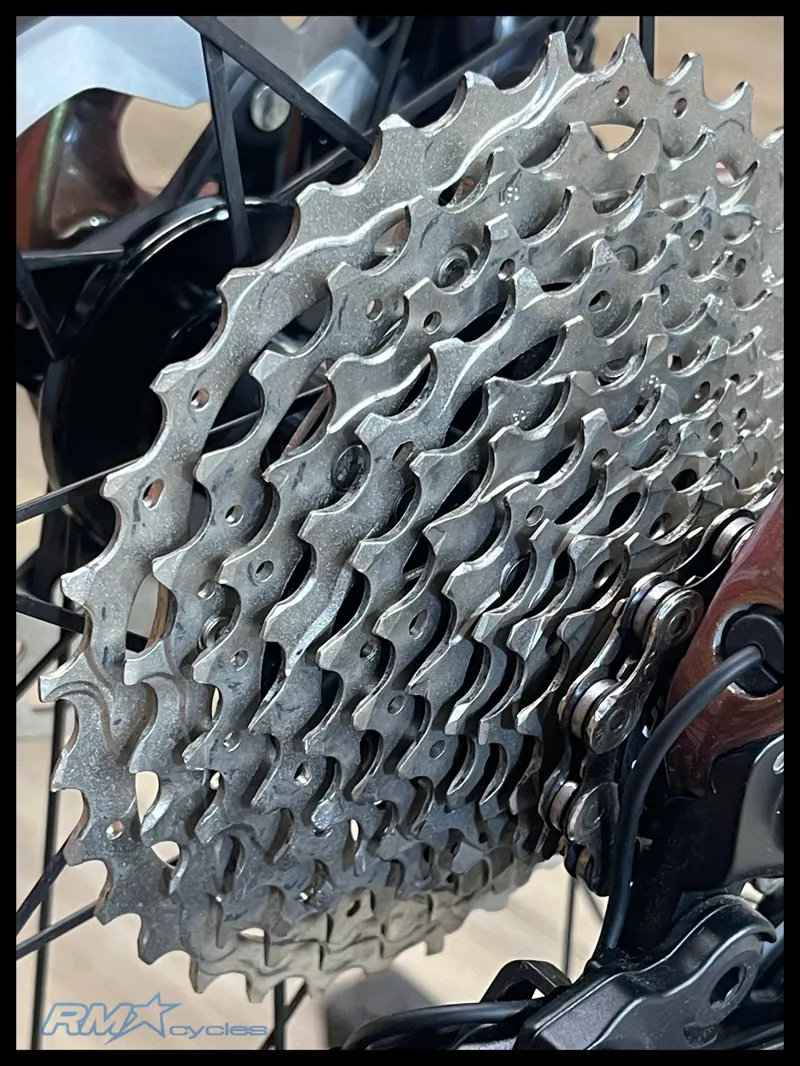 Liv Avail Advanced Pro 1 Messier Medium 2024 Ex Media Shoot-2