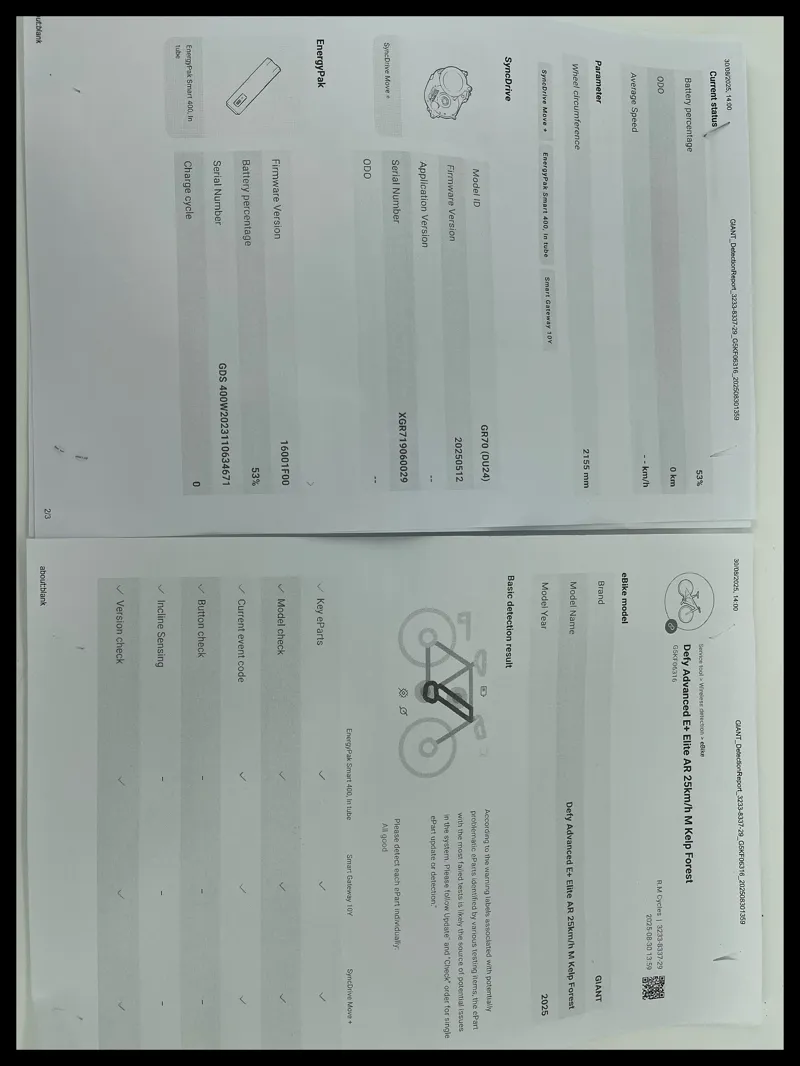 2024 Giant Defy Advanced E+ Elite AR Medium in Kelp Forest Ex-Display-11