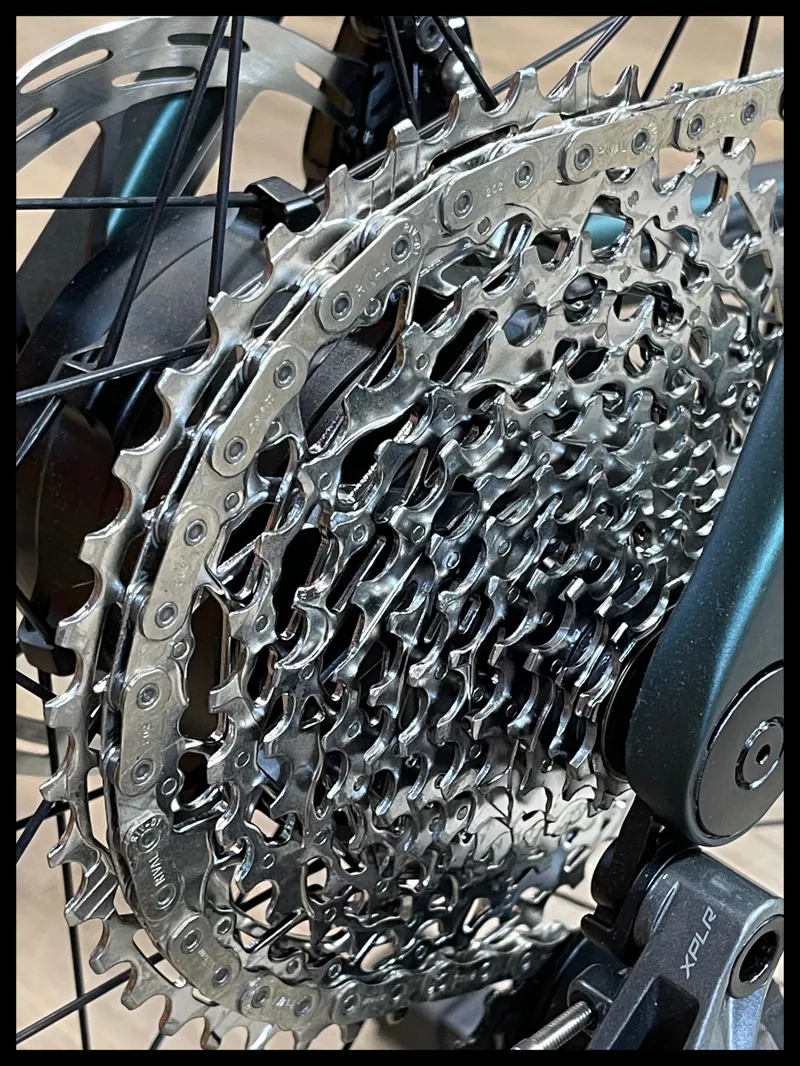 2024 Giant Defy Advanced E+ Elite AR Medium in Kelp Forest Ex-Display-2