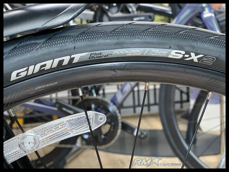 Giant Escape City Disc 2 Panther Medium 2024-8