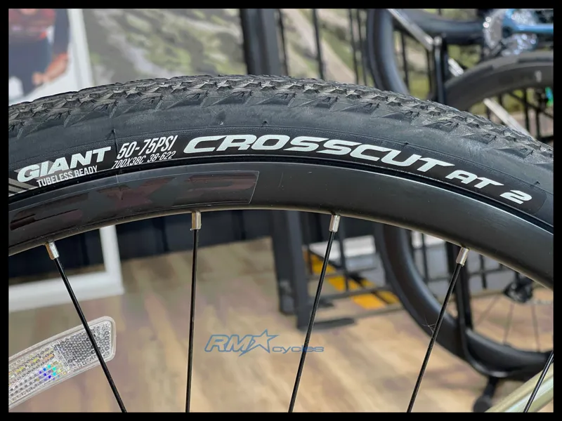 Giant Revolt 2 Medium Bay Leaf 2024 Ex-Display-8