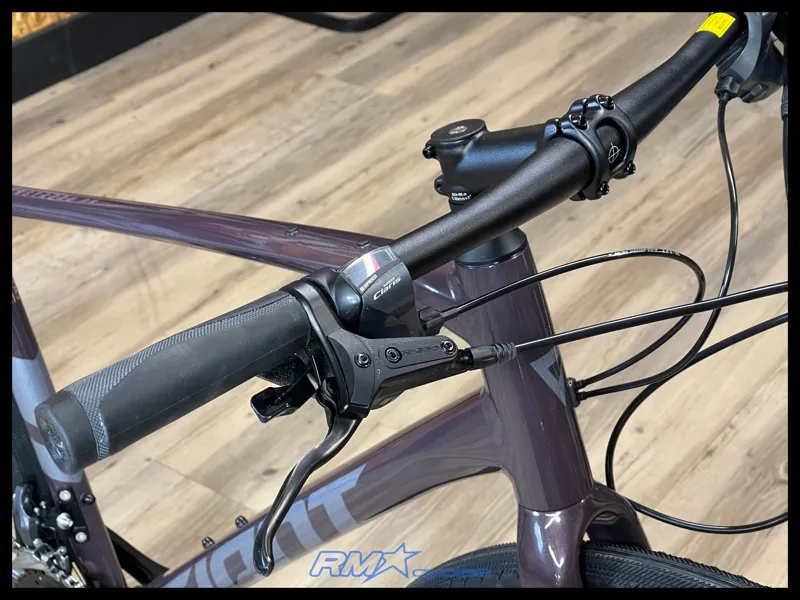 Giant FastRoad AR 3 Charcoal Plum M-Large 2023 Ex-Display-7