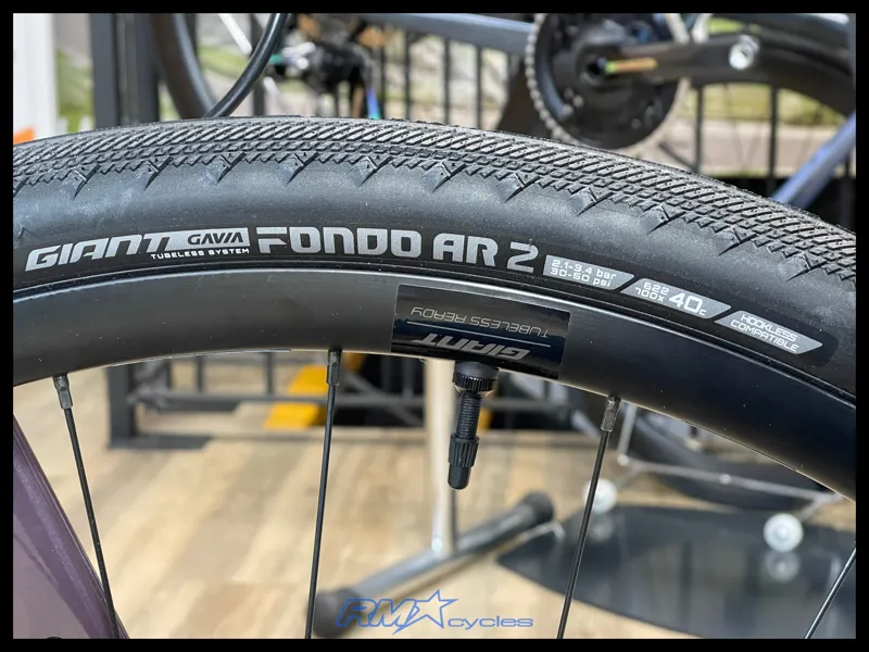 Giant FastRoad AR 3 Charcoal Plum M-Large 2023 Ex-Display-10