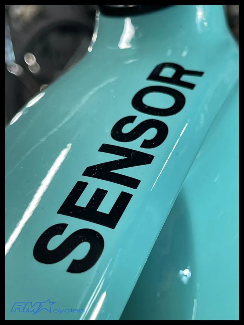 GT Sensor Carbon Elite Custom 29 X-Large 2024-2