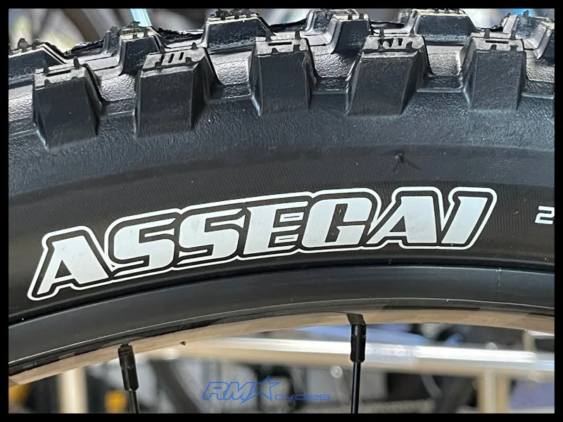 GT Sensor Carbon Elite Custom 29 X-Large 2024-9