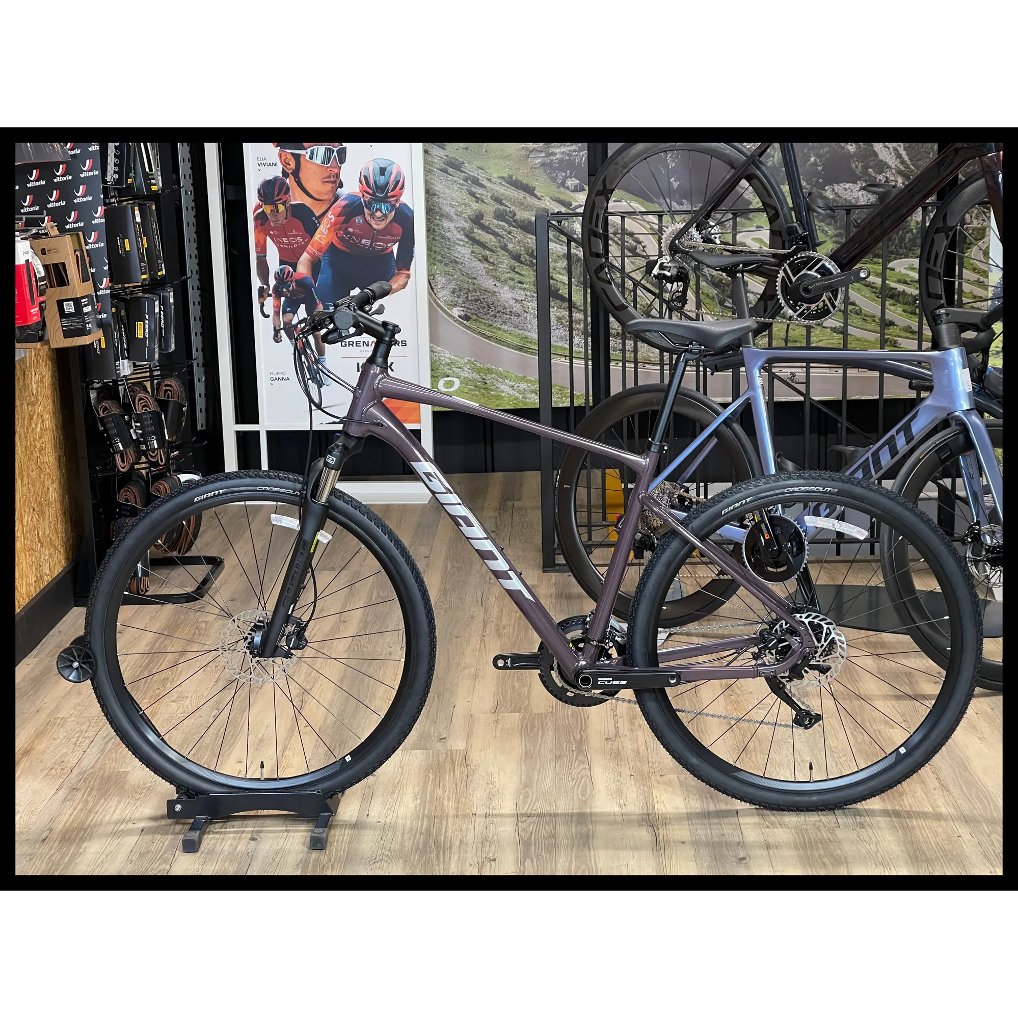 2024 Giant Roam 2 Disc Mens Hybrid Bike in Purple 2024 Giant Roam 2 Disc Mens Hybrid Bike in Purple