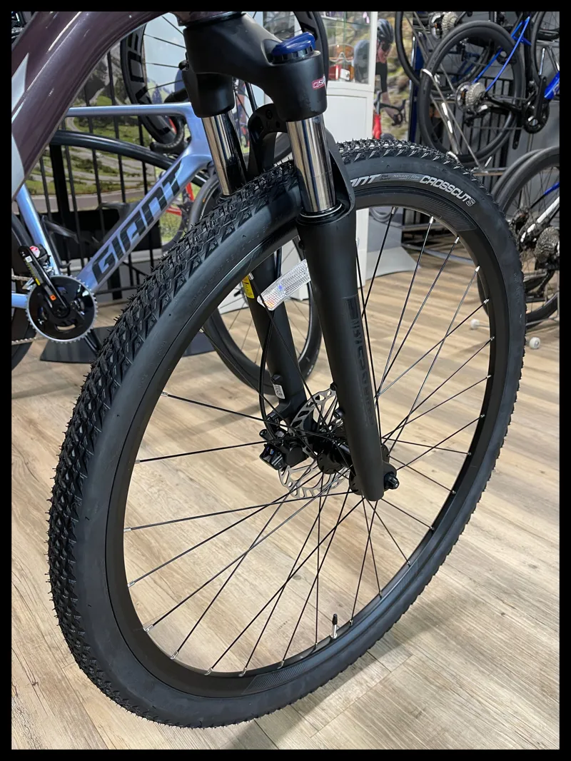 Giant Roam 2 Disc Hybrid Bike in Charcoal Plum-5