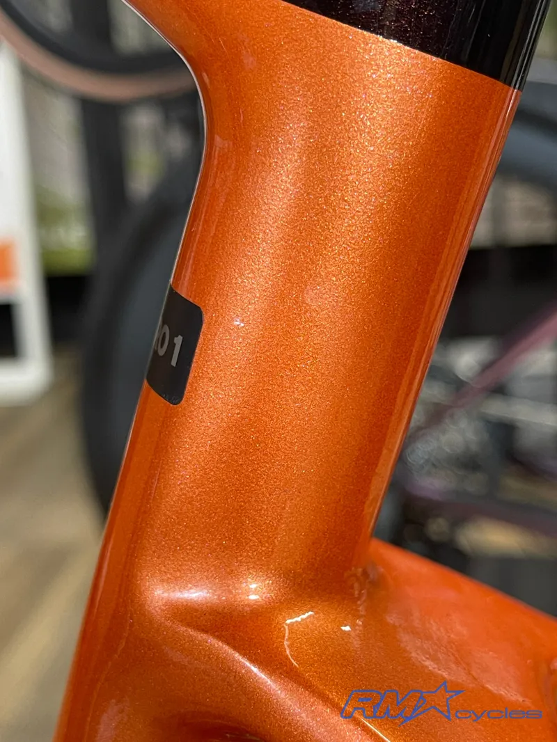 Giant Revolt X Adv Pro 1 Cordovan/Copper Coin Medium 24 Approved Used-12