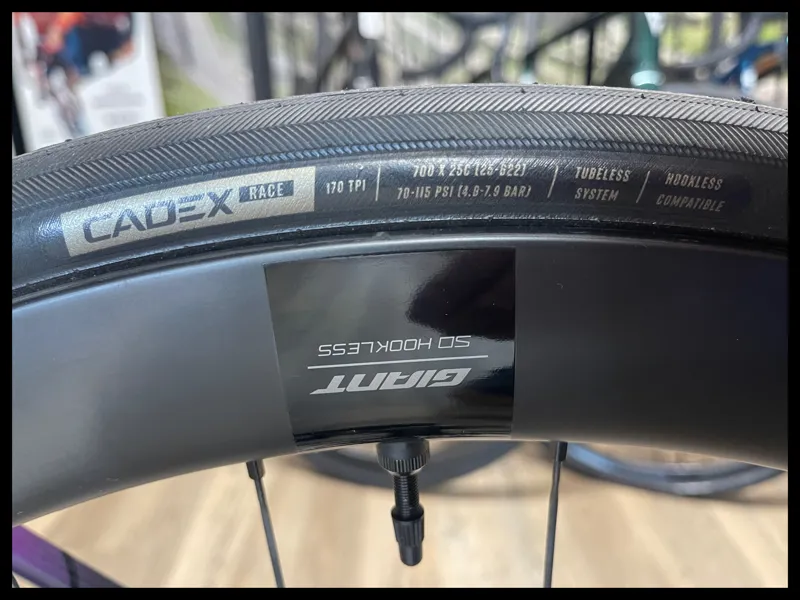 2023 EnviLiv Advanced SL M Aubergine/Carbon GBHF00717-10