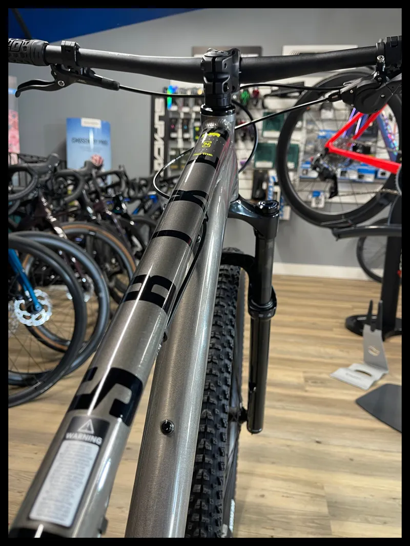 NS Bikes Eccentric Lite 1 29 MTB Raw 2025-2