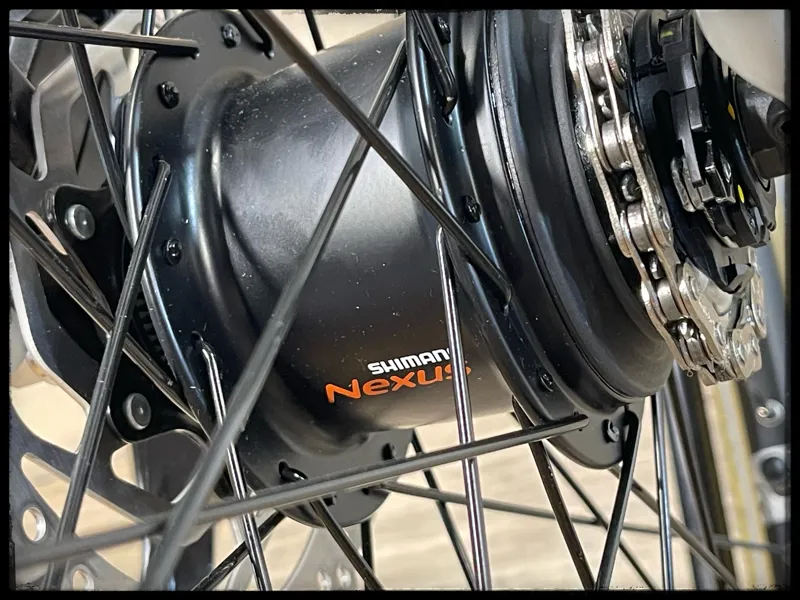 Momentum Transend E+ GTS 25km/h Large Lunar 2022-4