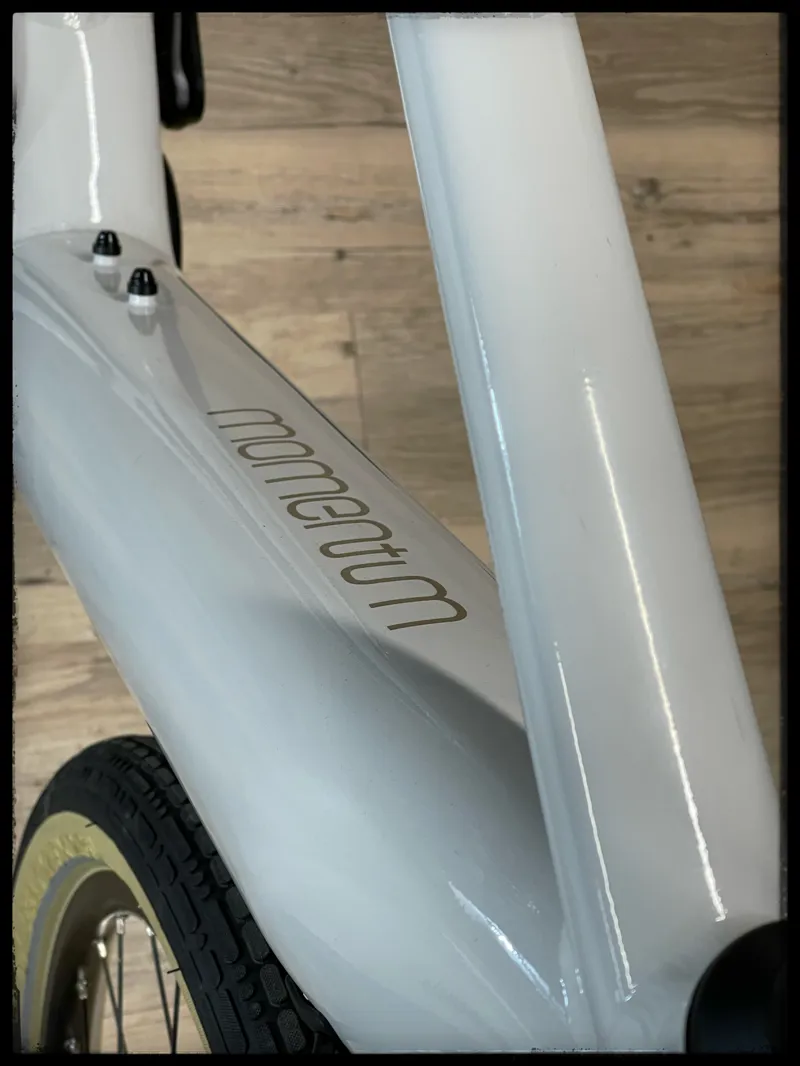 Momentum Transend E+ GTS 25km/h Large Lunar 2022-3