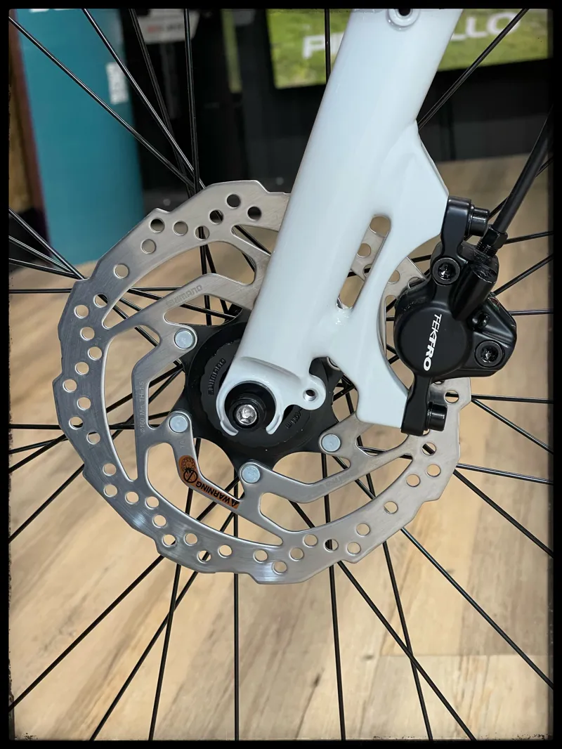 Momentum Transend E+ GTS 25km/h Large Lunar 2022-6