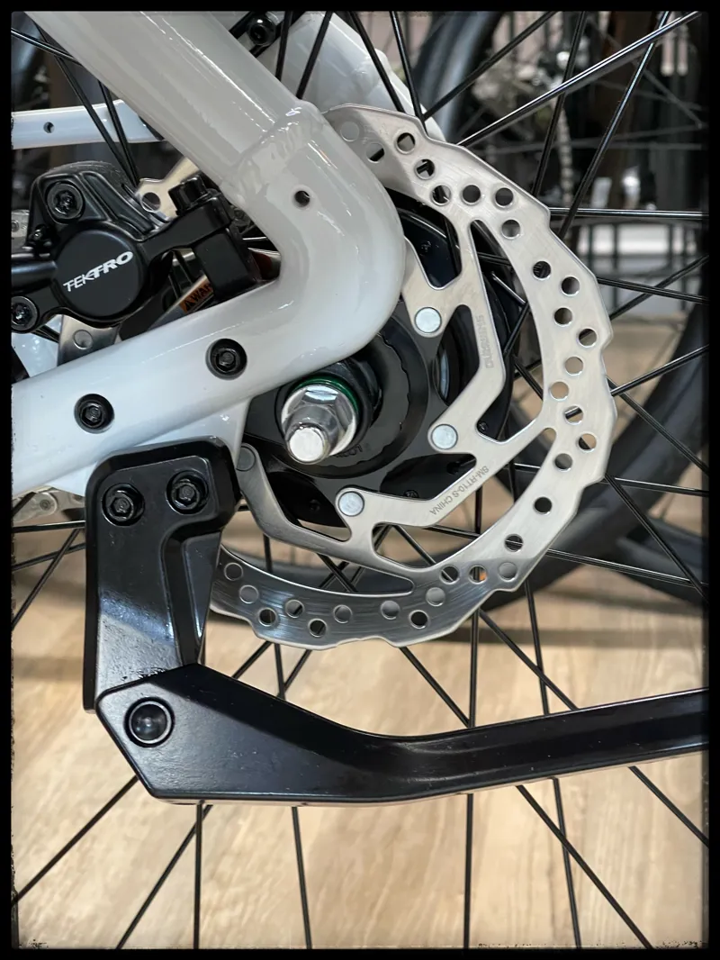 Momentum Transend E+ GTS 25km/h Large Lunar 2022-7