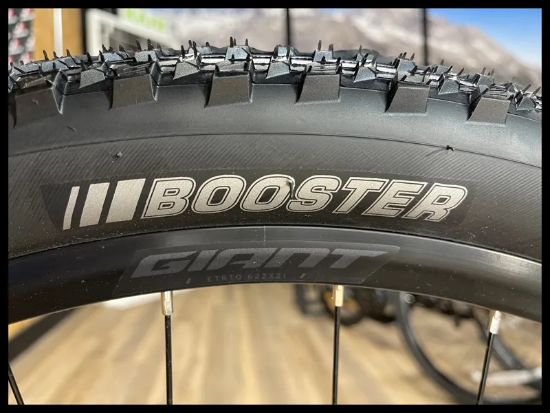 Giant Talon 29 1 Medium Cold Iron 2024-8