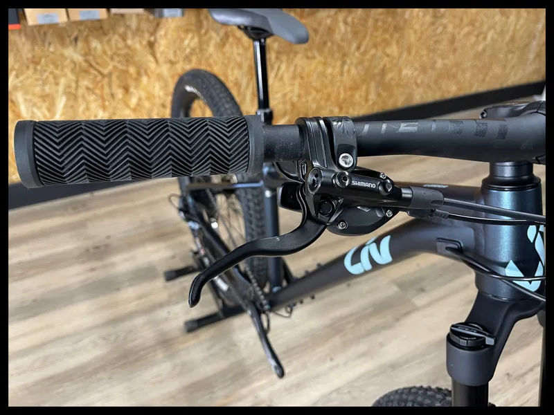 Liv Lurra 1 Small Starry Night 2023-6