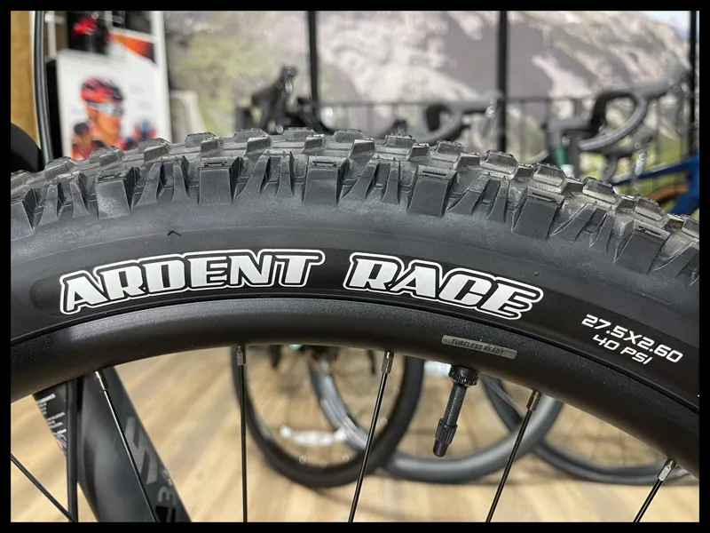 Liv Lurra 1 Small Starry Night 2023-9