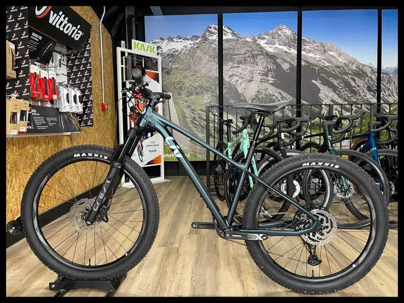 Liv Lurra 1 Small Starry Night 2023-1