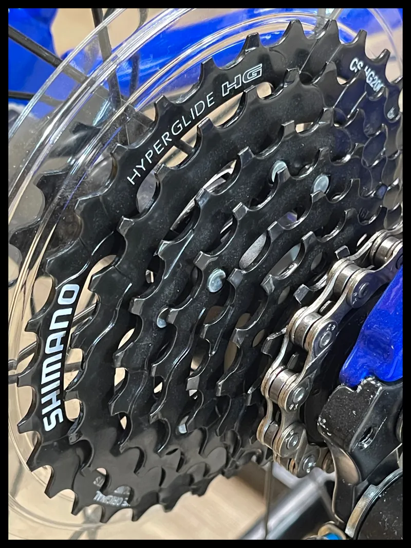 Giant ARX 24 Cobalt Kids Alloy Bike in Blue-2