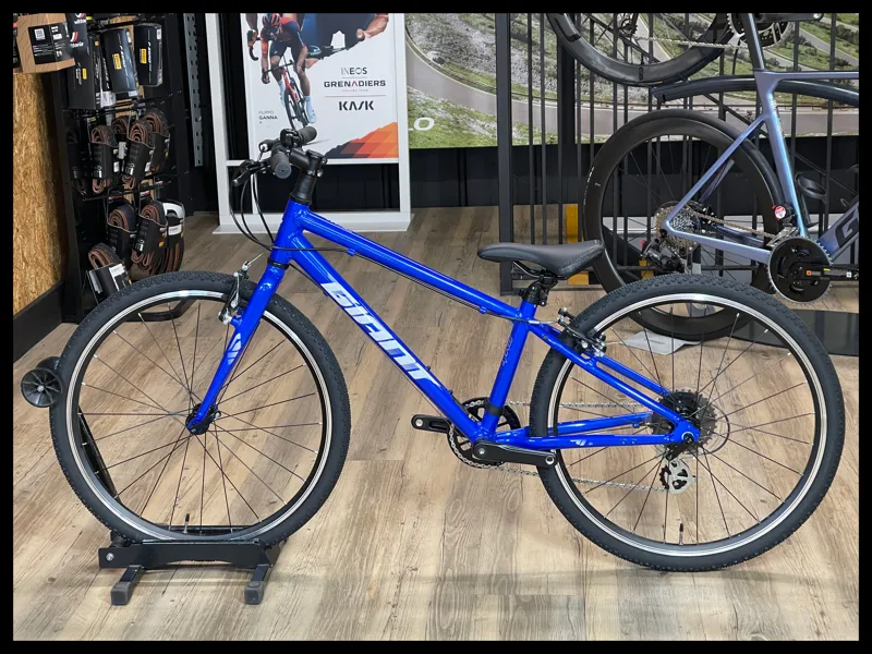Giant ARX 24 Cobalt Kids Alloy Bike in Blue-1