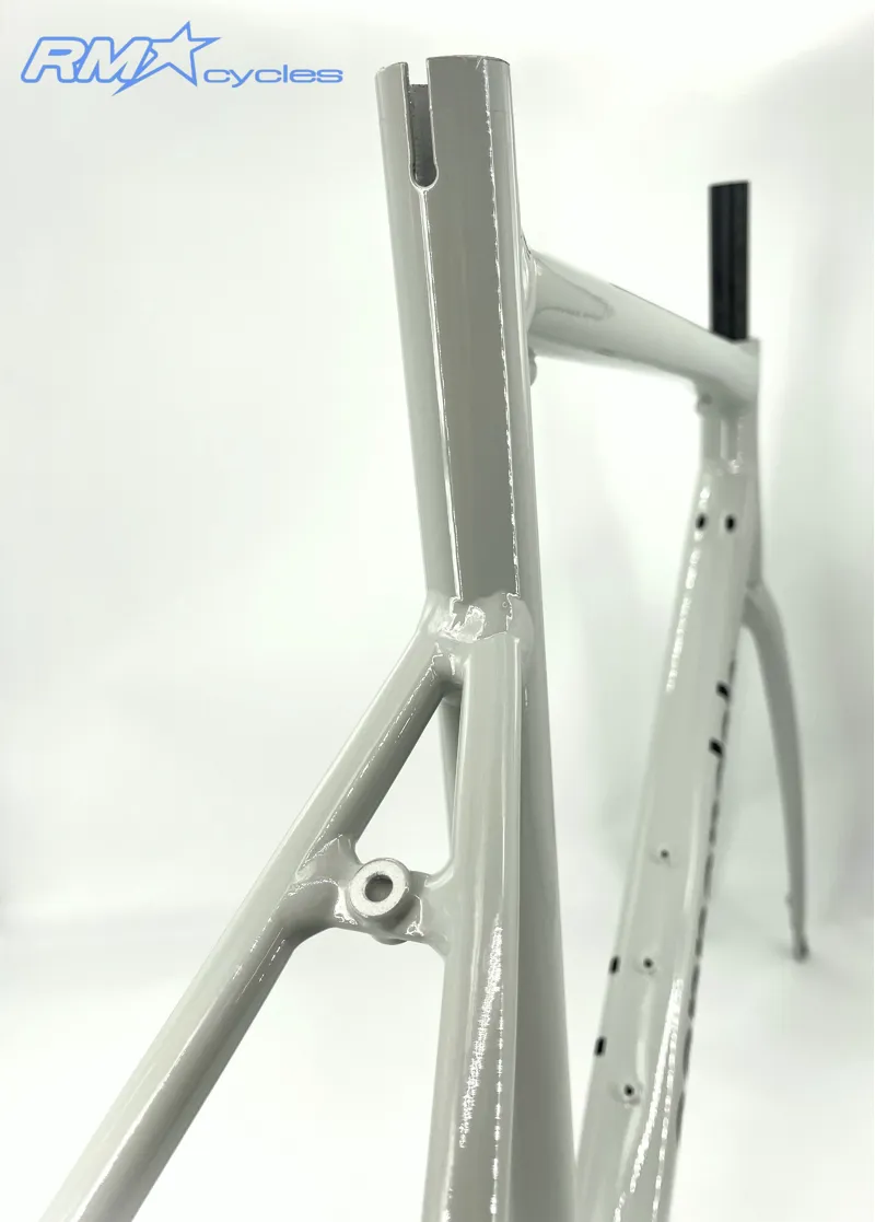 Cannondale CAAD Optimo Frame CHK 58cm-5