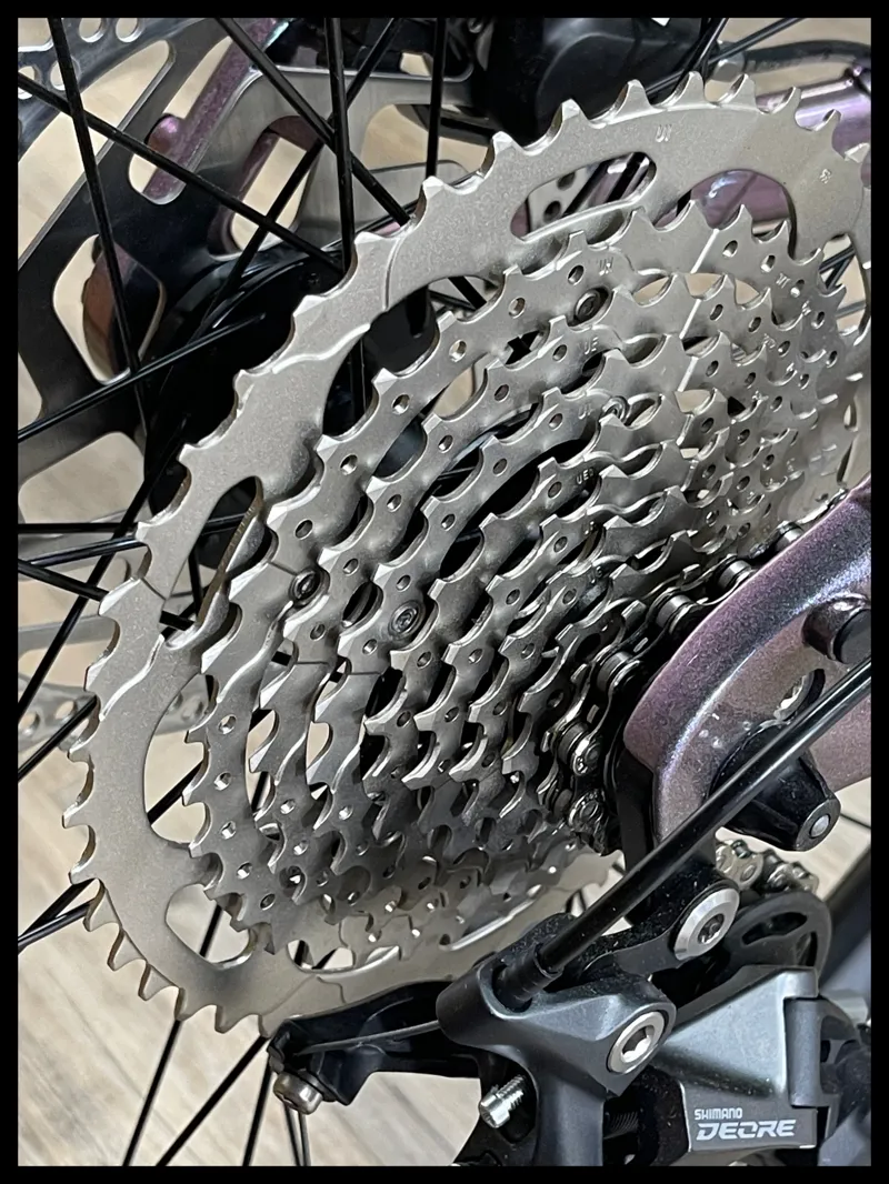 Liv Vall E+ 2 Echeveria Small 2022 Ex-Display-2