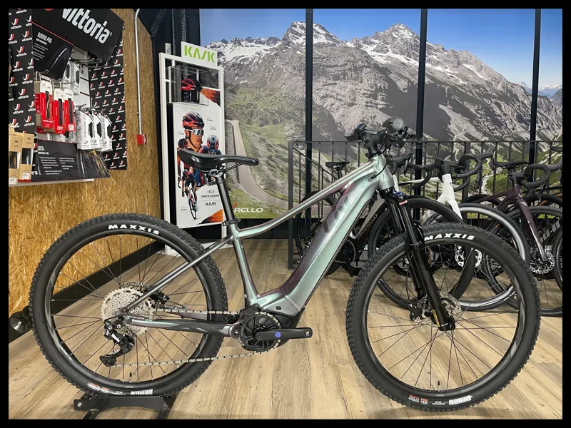 Liv Vall E+ 2 Echeveria Small 2022 Ex-Display-1