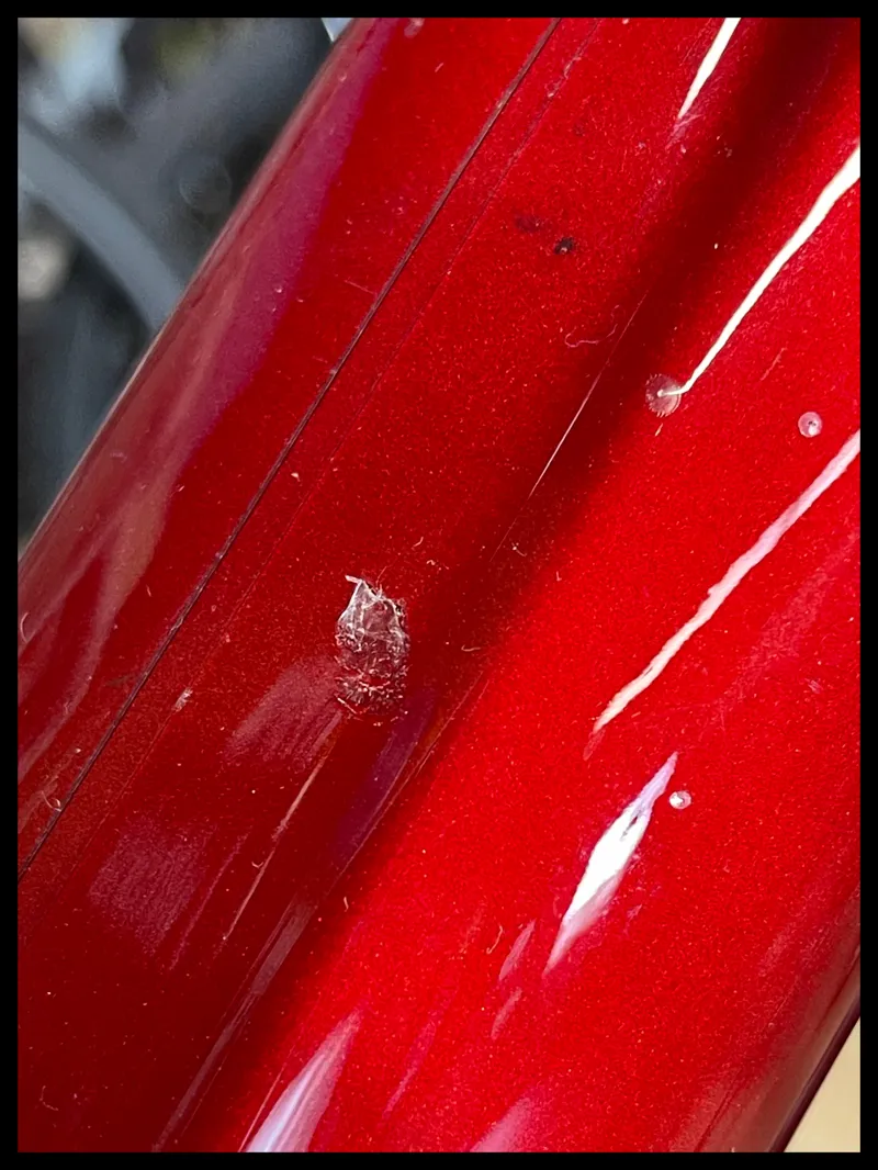 Cannondale Scalpel Lefty 29 Hardtail Medium MTB 2024 - Ex Demo-11