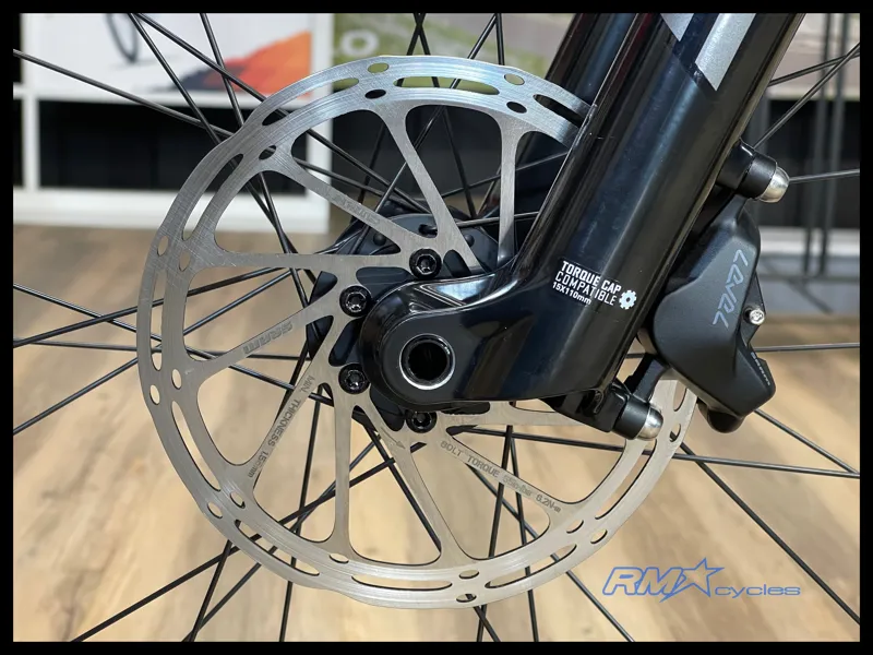 Santa Cruz BLUR 4 C 29 S Silver 2025-9