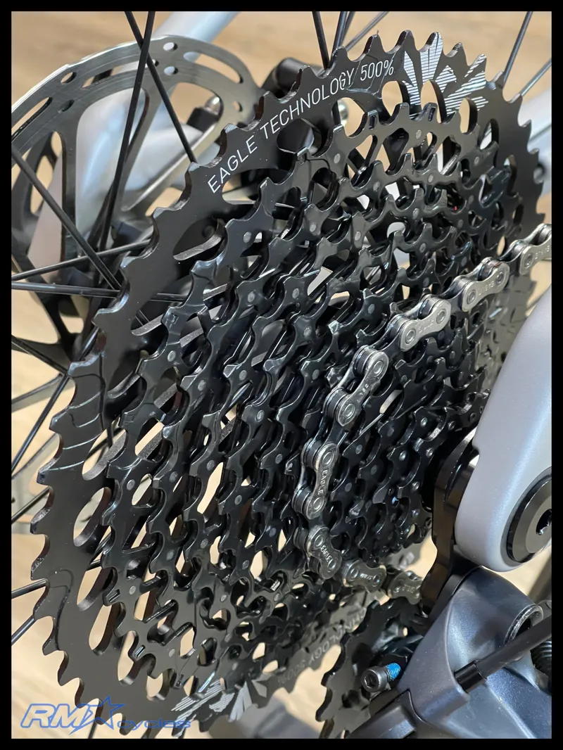 Santa Cruz BLUR 4 C 29 S Silver 2025-3