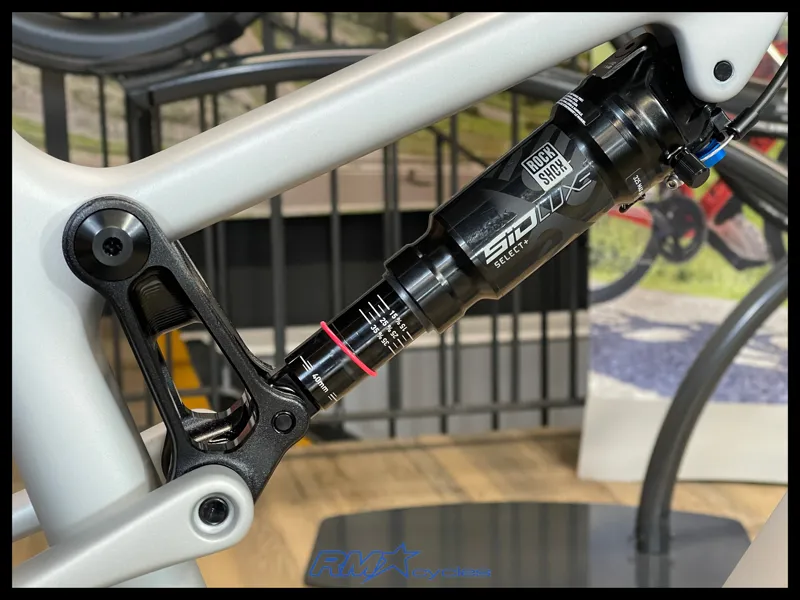 Santa Cruz BLUR 4 C 29 S Silver 2025-5