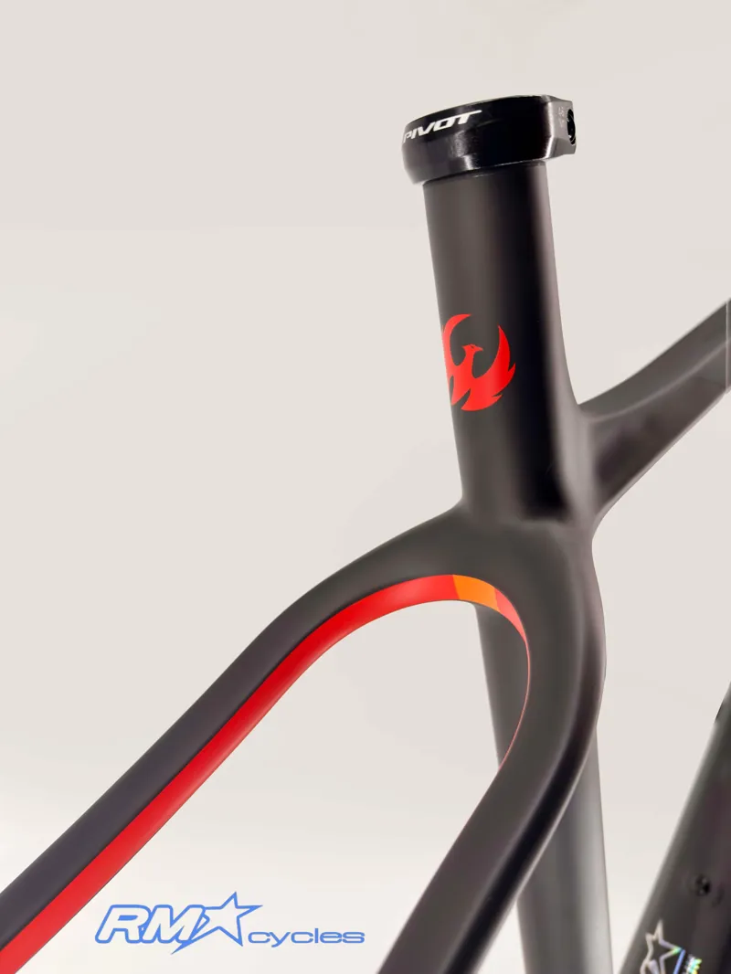 Pivot Les SL Carbon Frameset Size Large Black Sunset-3
