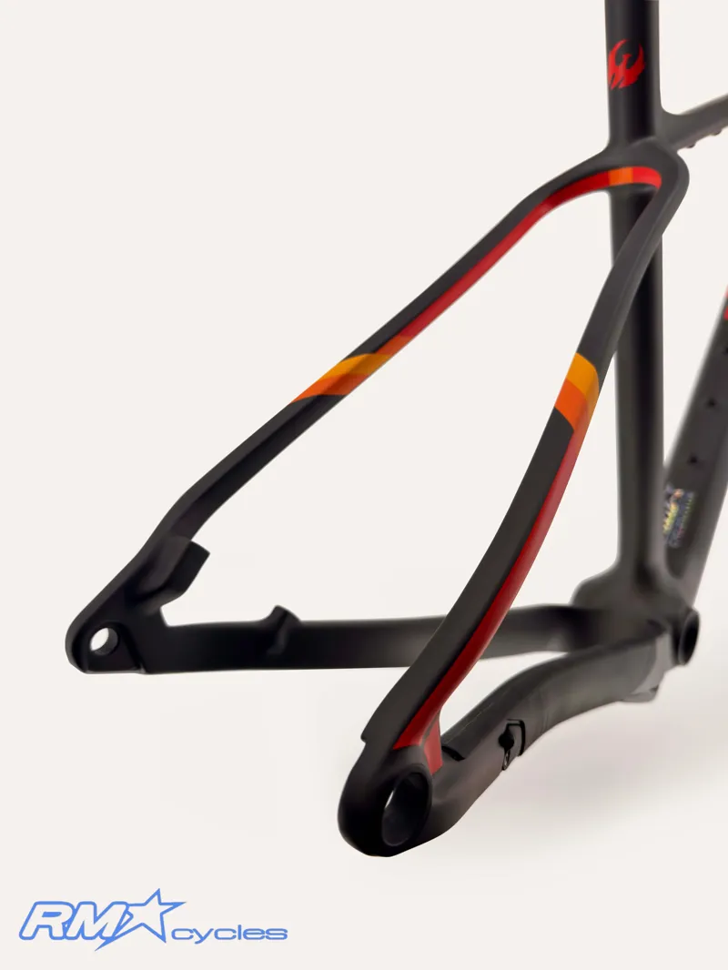 Pivot Les SL Carbon Frameset Size Large Black Sunset-4