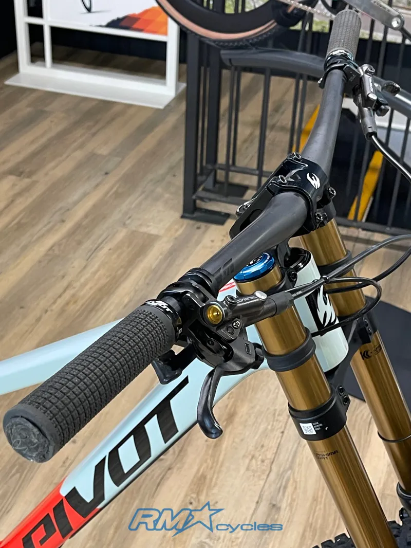 Pivot Phoenix Saint Pro S1 Mint Red Ex-demo-9