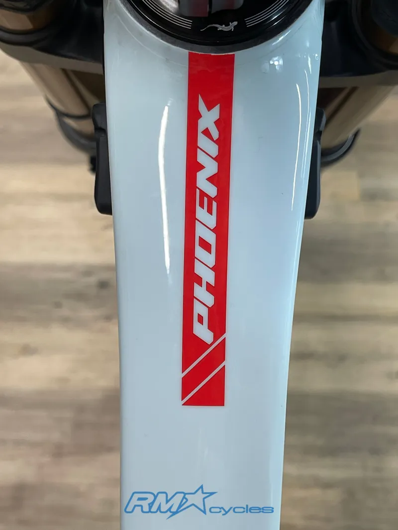 Pivot Phoenix Saint Pro S1 Mint Red Ex-demo-10