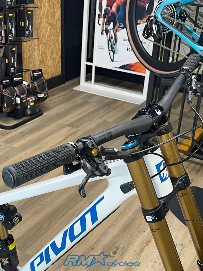 Pivot Phoenix Saint Pro S3 Blue White Ex-demo-3
