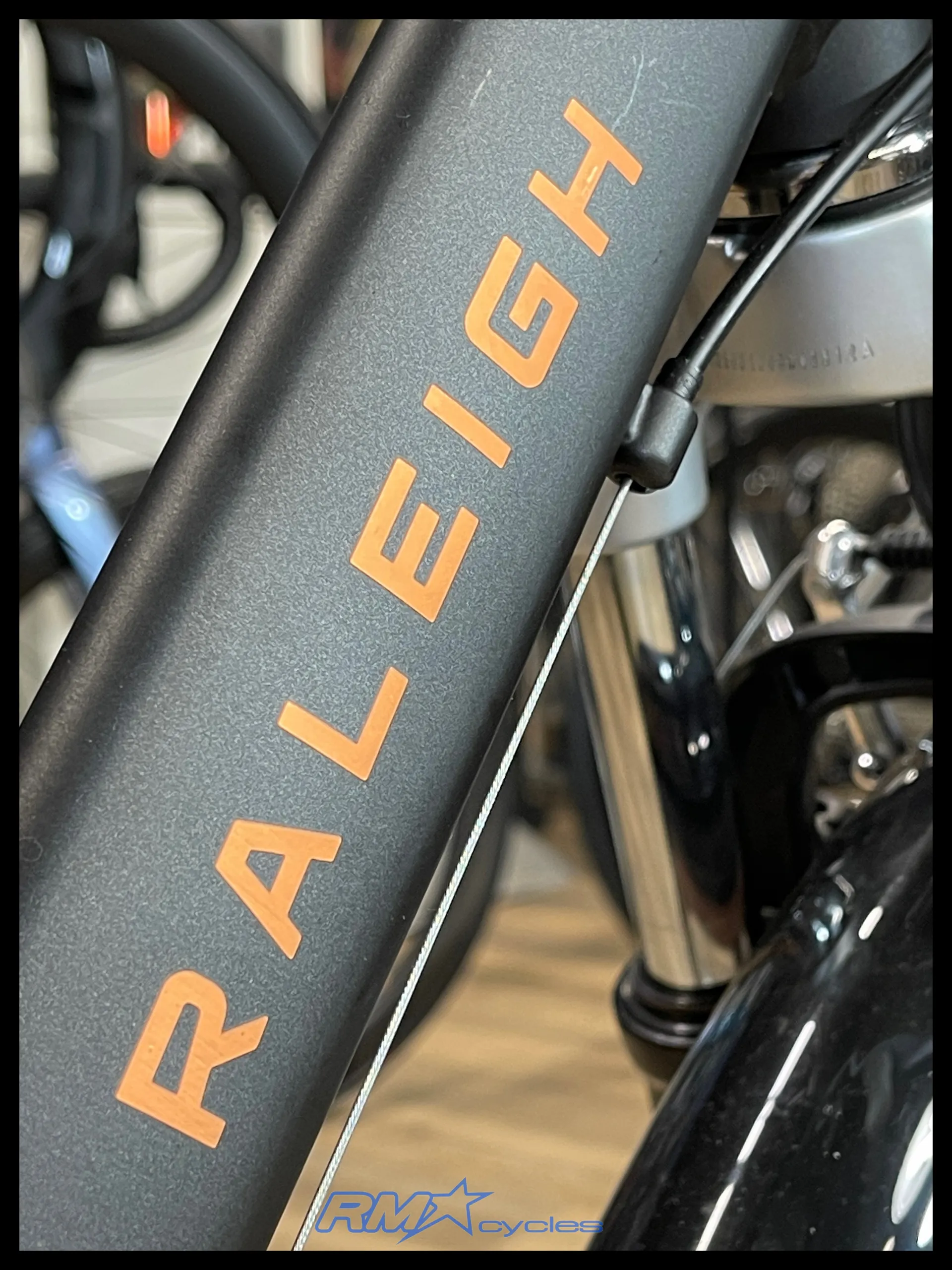 2025 Raleigh Pioneer Alloy Hybrid Bike in Green