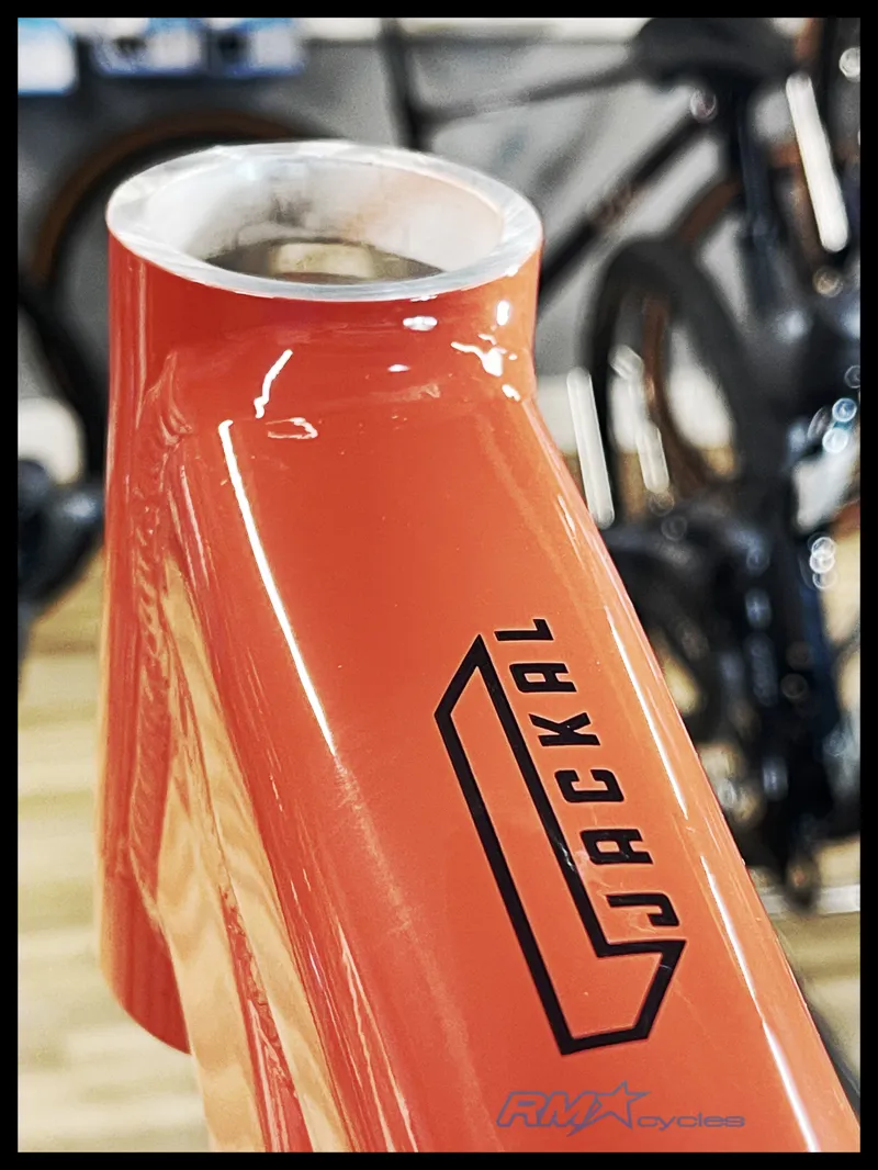 Santa Cruz Jackal Frame Long Red 2022-1