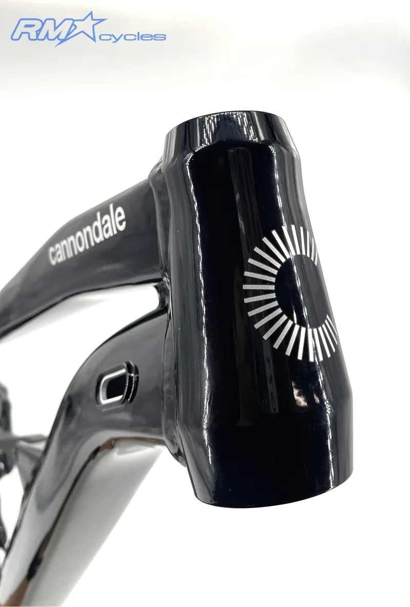 Cannondale Habit Alloy 29 Black Large-1