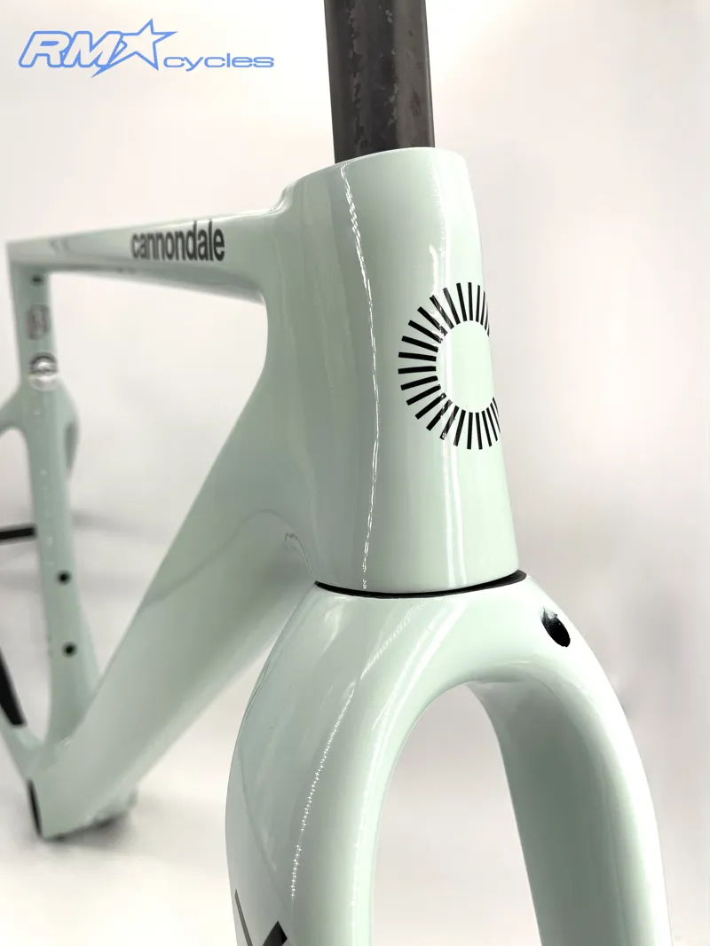 Cannondale Supersix Evo SE Frame Cool Mint 51cm-1