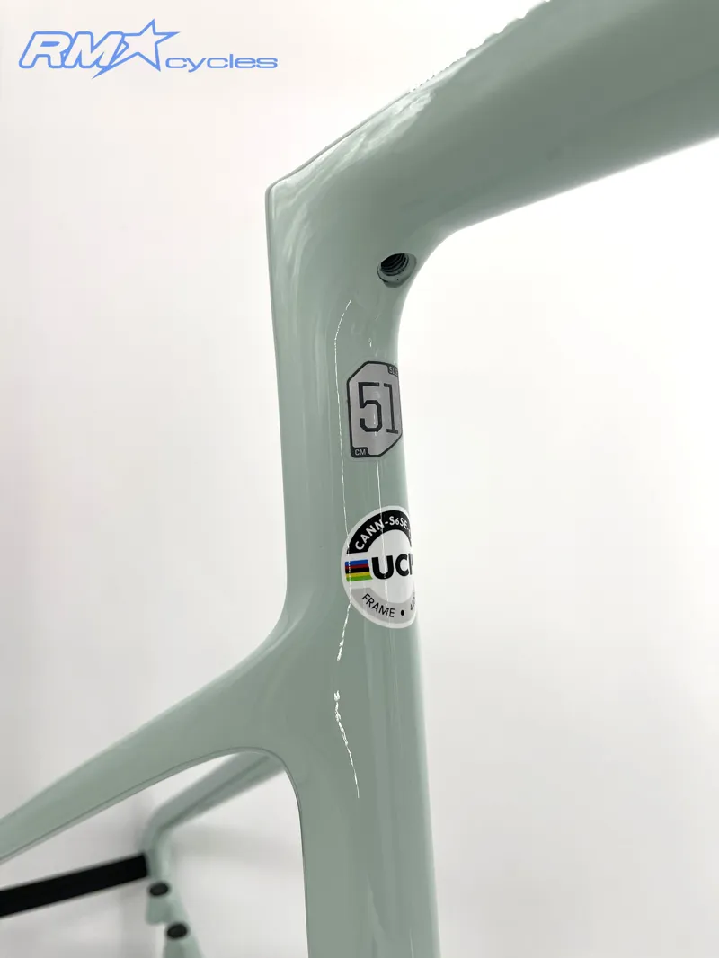 Cannondale Supersix Evo SE Frame Cool Mint 51cm-4