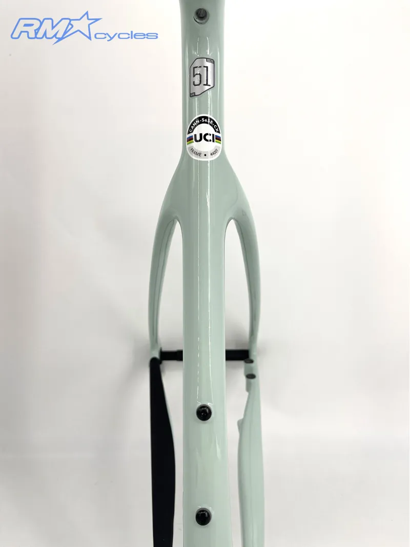 Cannondale Supersix Evo SE Frame Cool Mint 51cm-5
