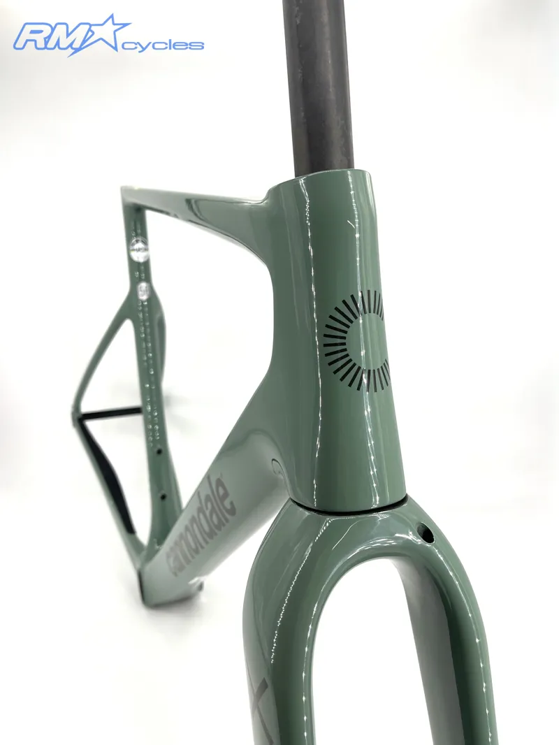 Cannondale Supersix Evo SE Jade-1