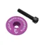 Wolf Tooth Ultralight Stem Cap and Bolt in Purple