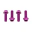 Wolf Tooth 4-piece Water Bottle Cage Bolts in Purple