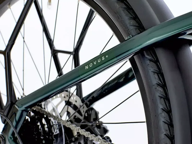 Raleigh Novus Plus Lowstep Electric Bike in Olive Gloss-3