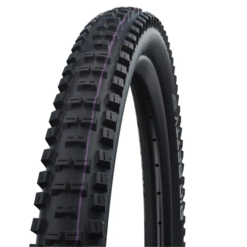 Schwalbe Big Betty Super Downhill TLE Tyre in Black