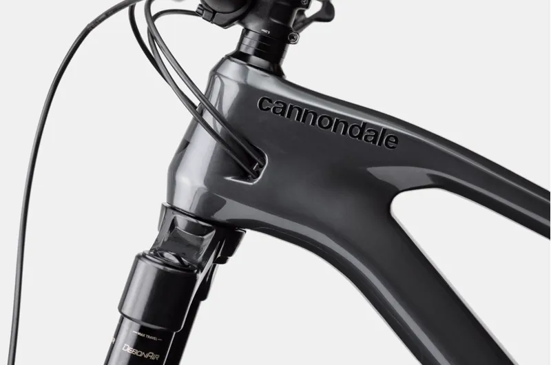 Cannondale Jekyll 2 Trail Bike in Graphite-2