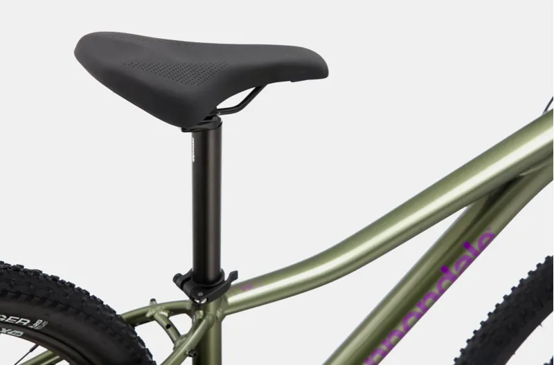 2021 Cannondale Trail 6 Womens Mountain Bike in Green-1